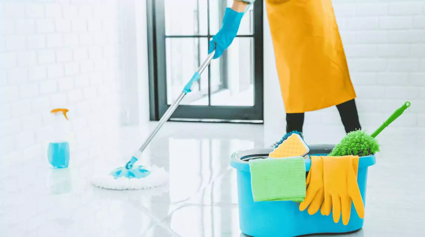 regular cleaning services work