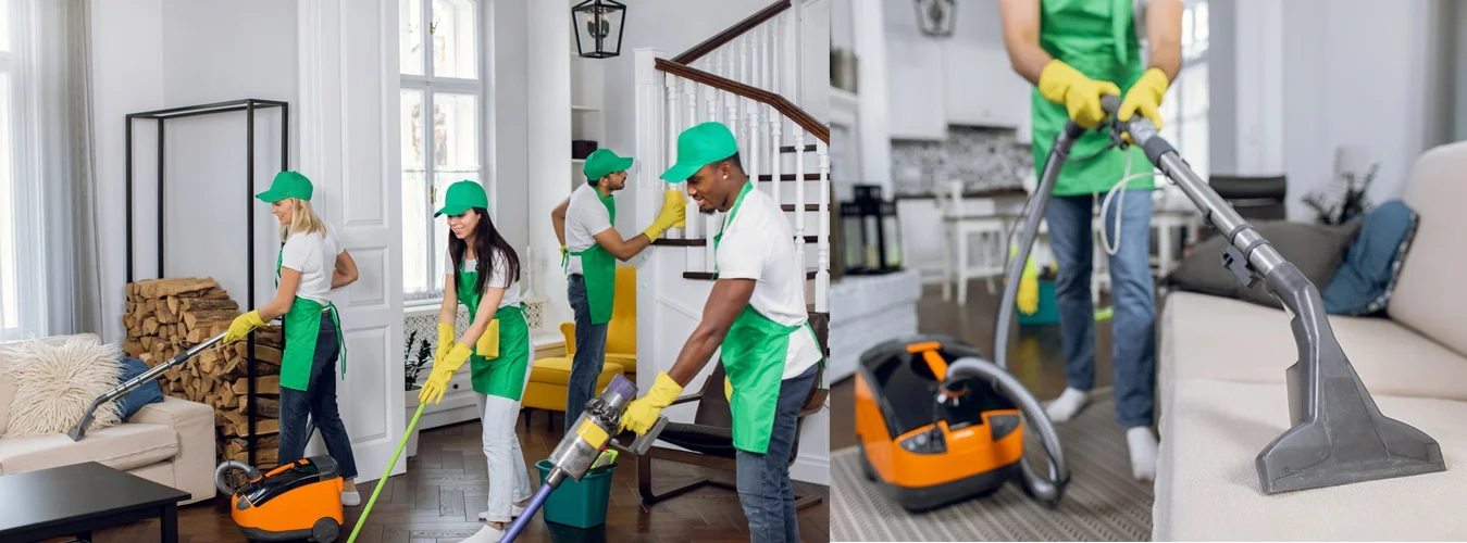 Professional Cleaning service